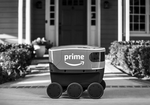 Robot Amazon
