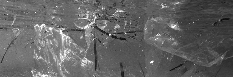 plastic